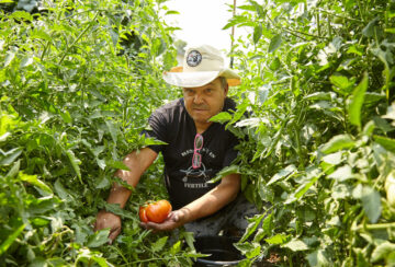 Punk Rock Farmer SLUG